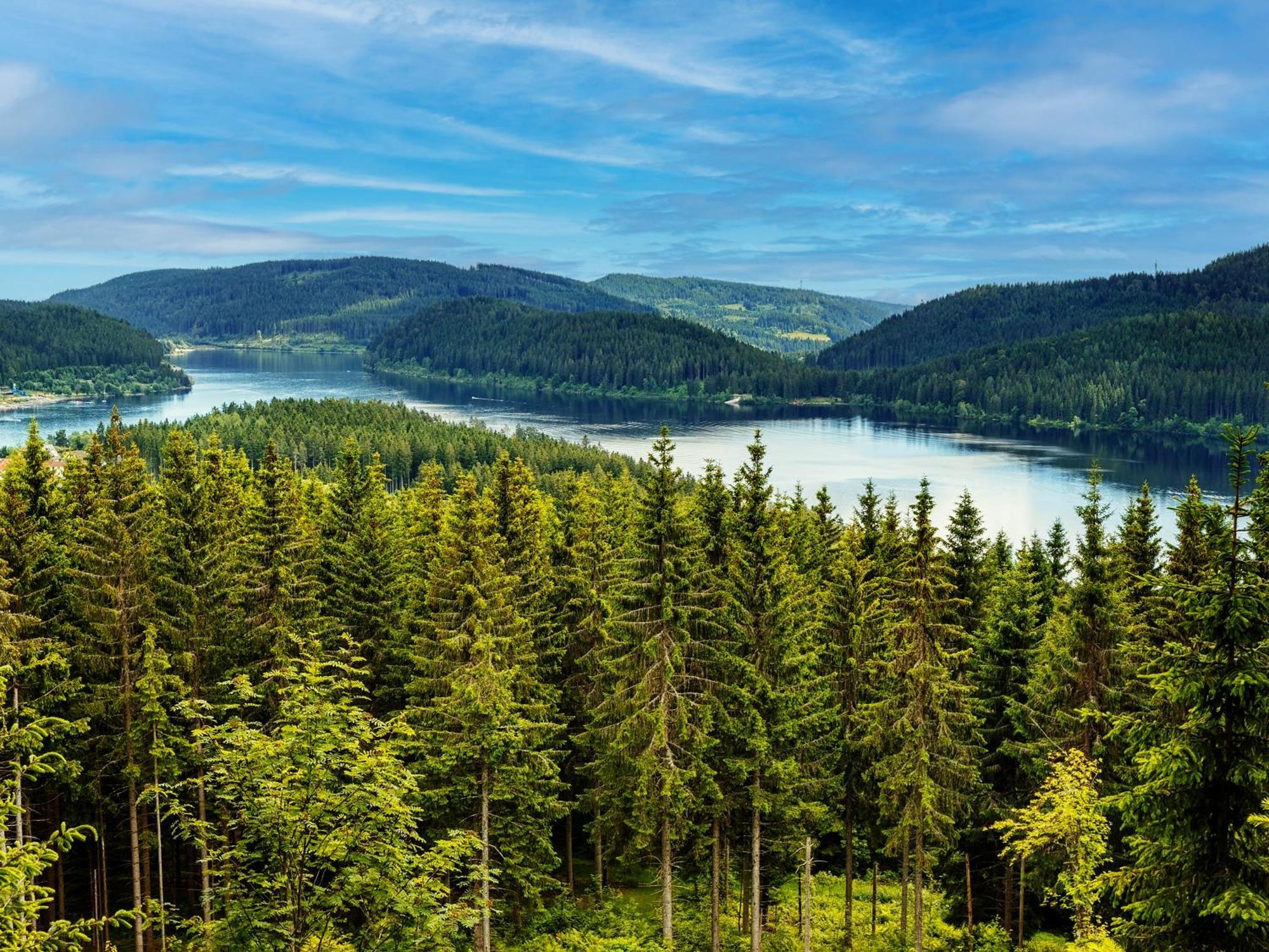 Black Forest Luxury Apartment Baerenhoehle Mit Sauna Schluchsee Kültér fotó